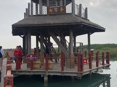 -北海金海湾红树林生态旅游区