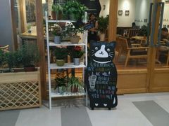-猫的天空之城概念书店(印象城购物中心店)