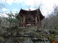 -黎坪国家森林公园