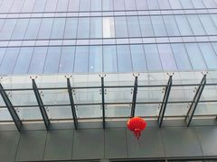 -上海市第十人民医院(总院)