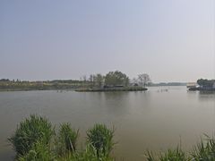 -西青郊野公园
