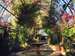 -The Grounds of Alexandria
