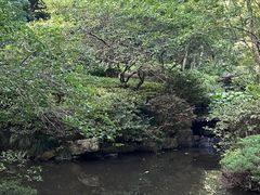 -杭州半山国家森林公园