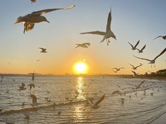 -老虎石海上公园