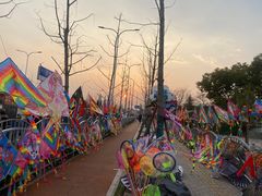 -上海滨江森林公园