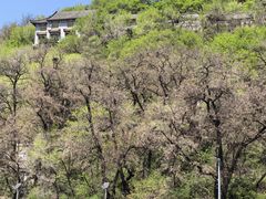 -高尔山公园