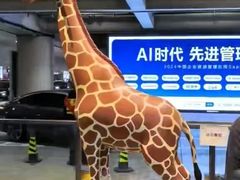 -虹桥综合交通枢纽-P6停车库