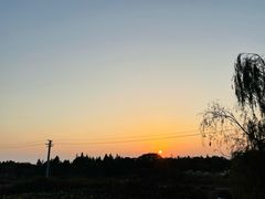 -贡湖湾湿地公园