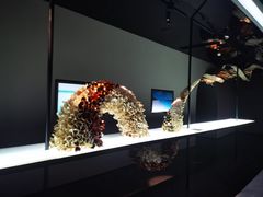 -上海虹桥中心爱琴海亚朵S酒店