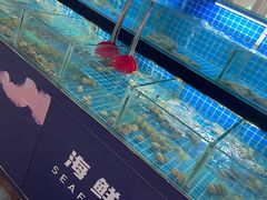 -佰园全日西餐厅-厦门佰翔软件园酒店