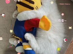 -伟伟宠物医院·瑞派猫友好医院·猫科(光谷店)