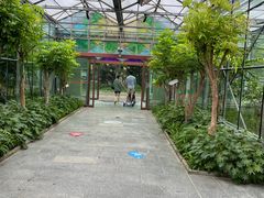 -南宫五洲植物乐园