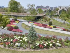 -上海植物园-4号门售票处