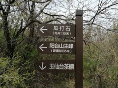 -阳台山自然风景区