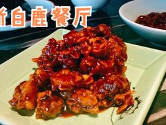 糖醋排骨-新白鹿餐厅(虹桥南丰城店)