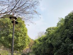 -日出青木