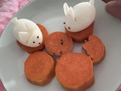 -田螺阿姨自营月嫂·育儿嫂(高新店)