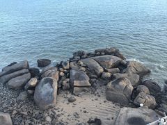 -佳丽海鲜大酒楼(环岛海景店)
