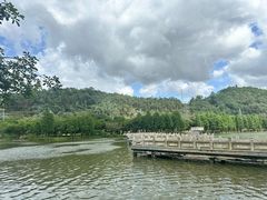 -顺峰山公园