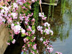 -海棠花溪(元大都城垣遗址公园)