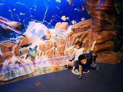 -芜湖新华联大白鲸海洋公园