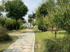 -鹅湖玫瑰文化园
