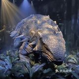 妈耶，恐龙复活了！？带你亲眼观赏一比一还原最真实的侏罗纪世界