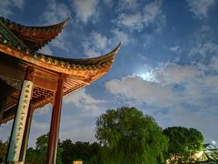 -枫桥夜泊