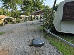 -先机泉水鸡汤(南山老君洞店)