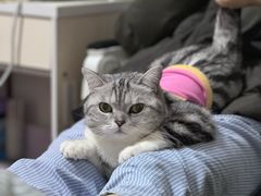 -瑞鹏宠物医院·超声·骨科·奇麟分院(蜀都万达店)