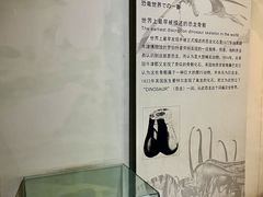 -中国西峡恐龙遗迹园