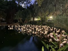 -九龙公园