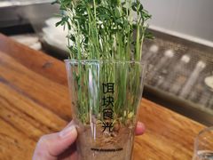 -饵块食光·云南有机手作饵块
