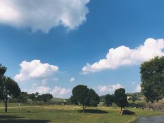 -塞罕坝国家级自然保护区