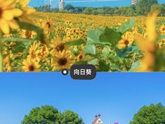 -花博汇(知音花月夜)