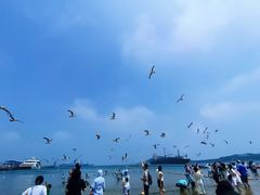 -海驴岛(荣成市)