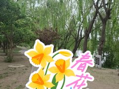 -晋祠公园