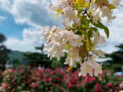 -国家植物园南园