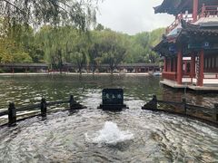 -百脉泉景区
