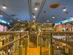 -卡通尼·Safari非洲探索乐园·生日会(金桥国际商业广场店)