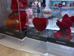 -ROSEONLY诺誓(广州K11店)