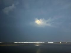 -日照海滨国家森林公园