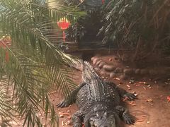 -西霞口神雕山野生动物世界