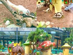 -佛冈森波拉度假区