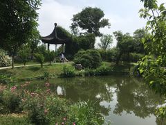 -鹅湖玫瑰文化园