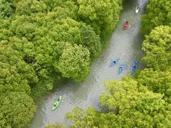 -动邦皮划艇·桨板·独木舟·团建户外运动俱乐部
