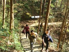 -花岩国家森林公园