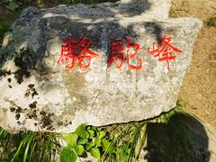 -牛背梁国家森林公园