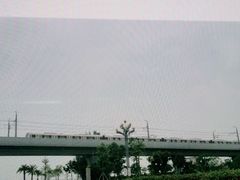 -宝安西湾红树林湿地公园