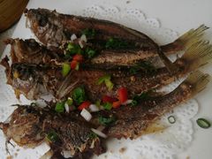 -老东吴食府(雅都店)